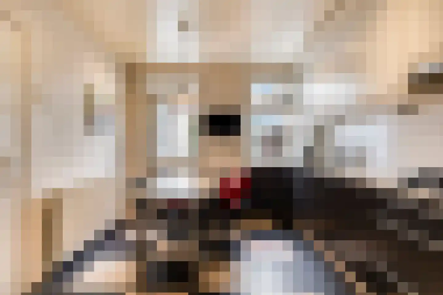 Binderseind 15 Gemert thumbnail 19