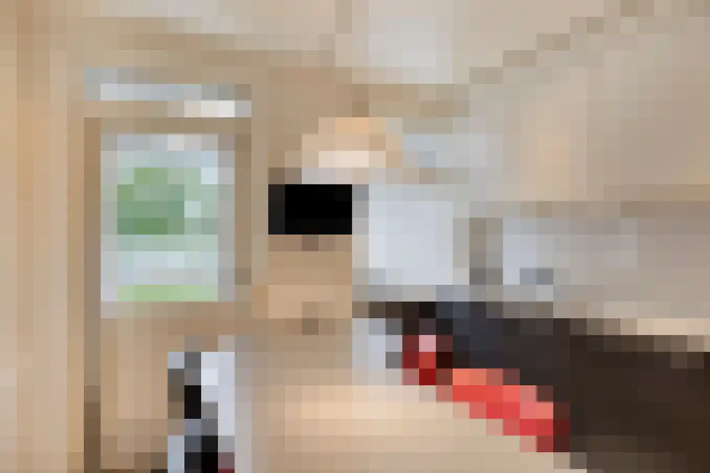Binderseind 15 Gemert thumbnail 21