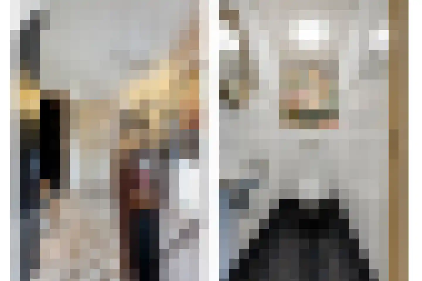 Binderseind 15 Gemert thumbnail 33