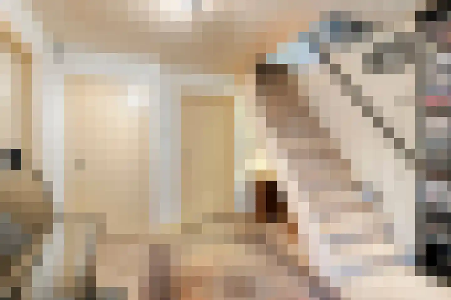 Binderseind 15 Gemert thumbnail 35