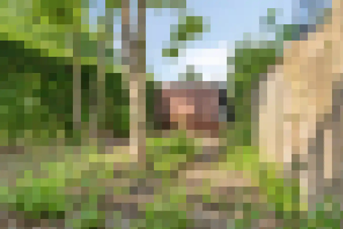 Binderseind 15 Gemert thumbnail 44