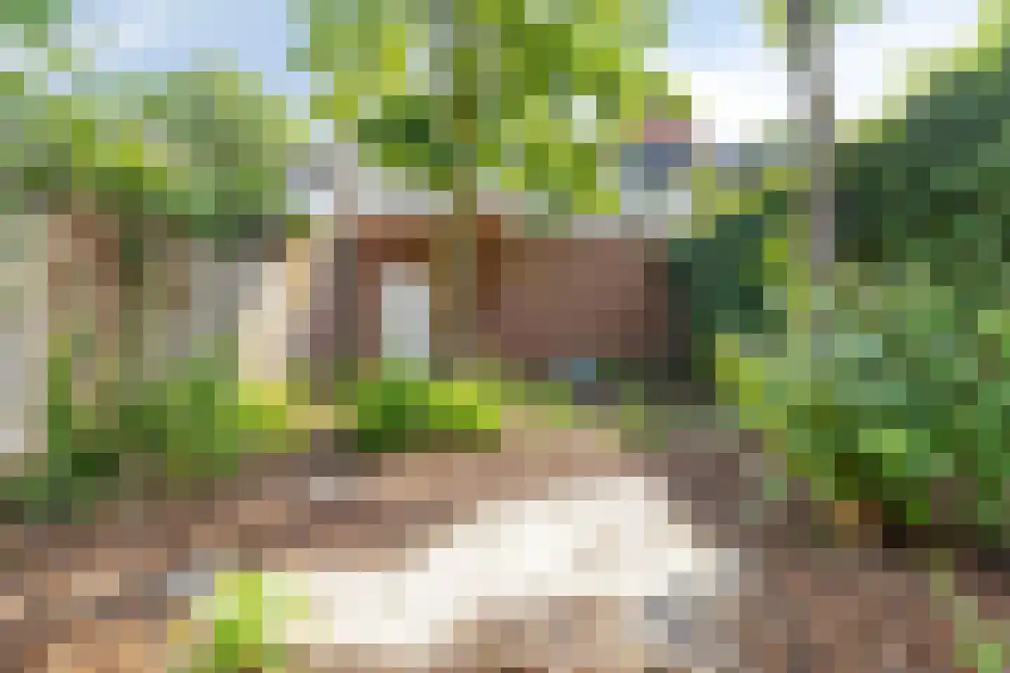 Binderseind 15 Gemert thumbnail 45