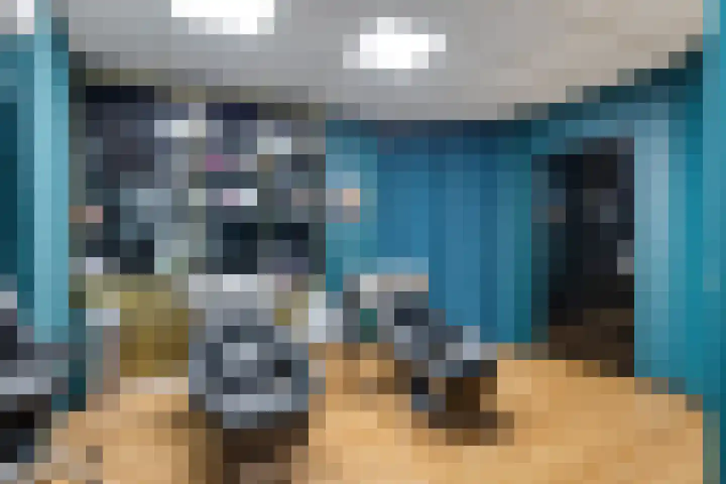Binderseind 15 Gemert thumbnail 8