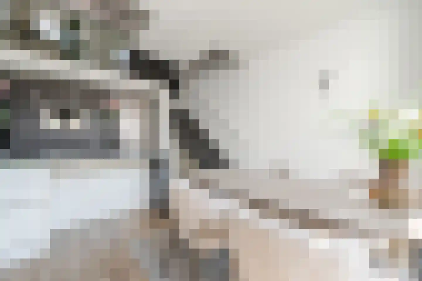 Binderseind 31 Gemert thumbnail 11