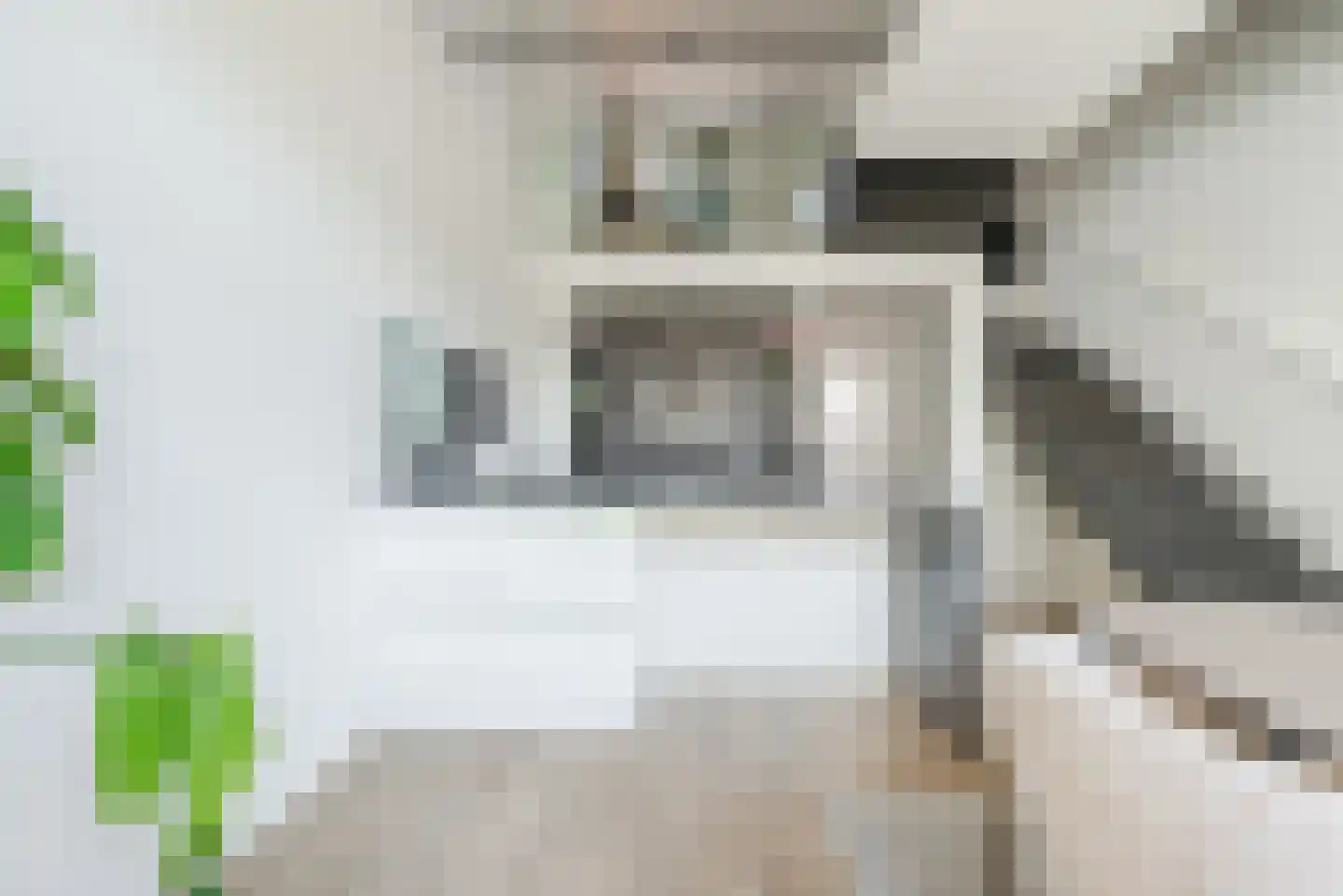 Binderseind 31 Gemert thumbnail 12