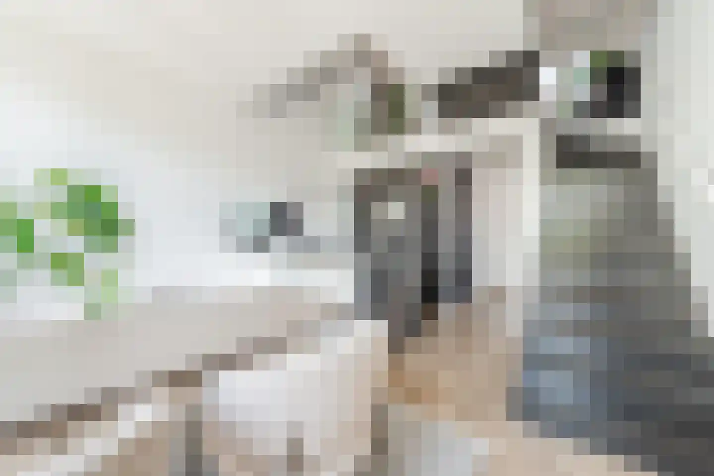Binderseind 31 Gemert thumbnail 14
