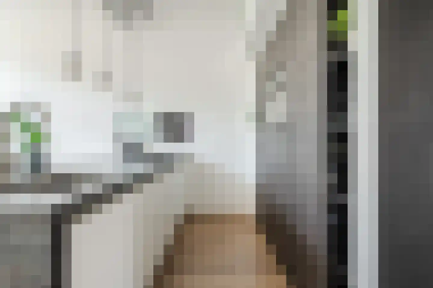 Binderseind 31 Gemert thumbnail 18