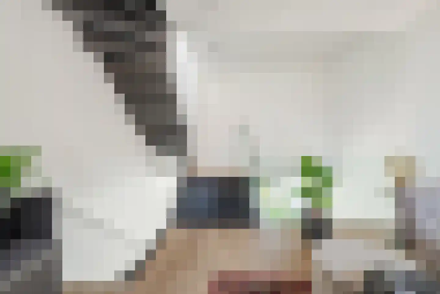Binderseind 31 Gemert thumbnail 20