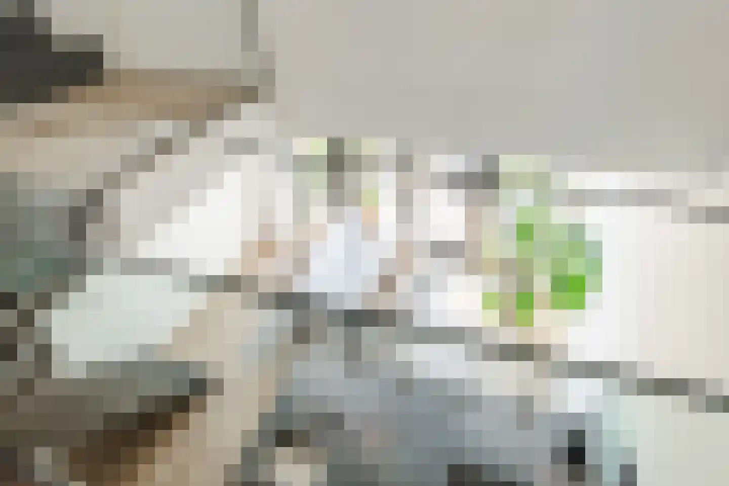 Binderseind 31 Gemert thumbnail 21