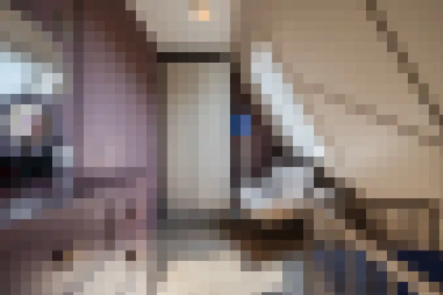 Binderseind 31 Gemert thumbnail 29