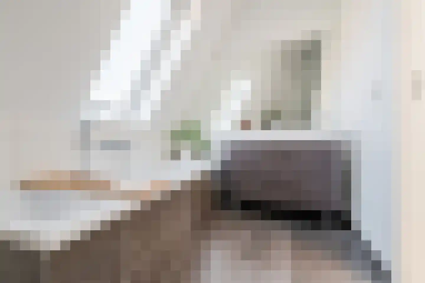 Binderseind 31 Gemert thumbnail 30