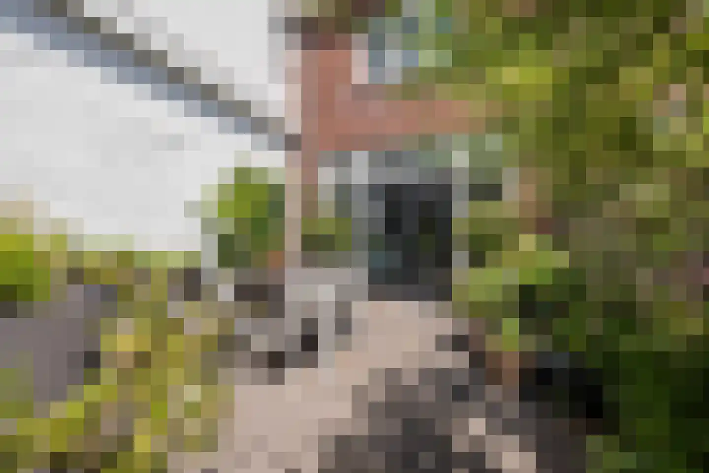Binderseind 31 Gemert thumbnail 33