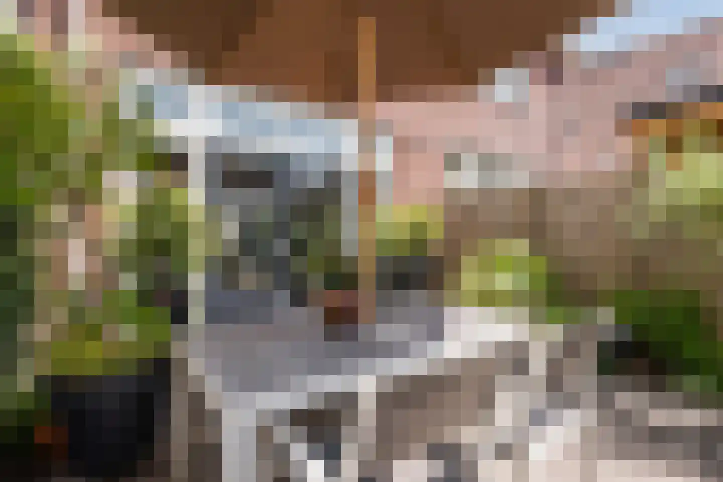 Binderseind 31 Gemert thumbnail 34