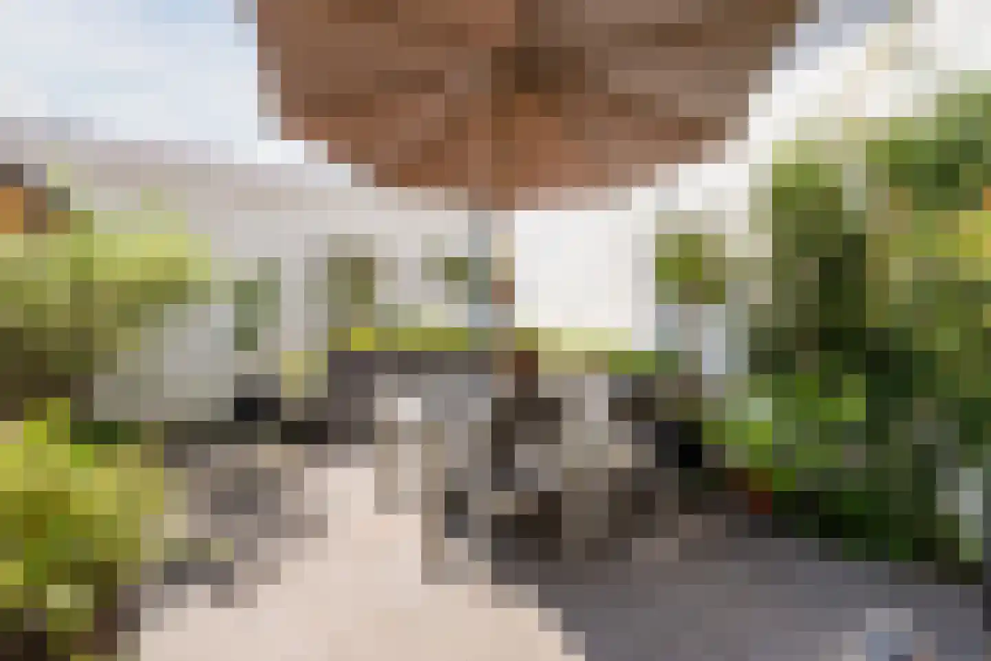 Binderseind 31 Gemert thumbnail 36