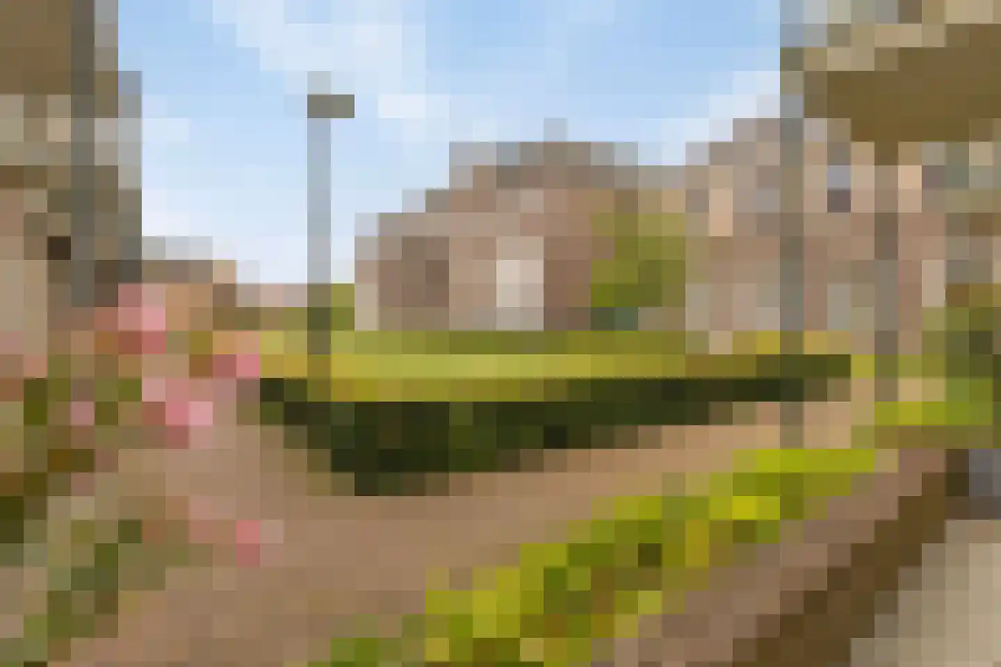 Binderseind 34 b Gemert