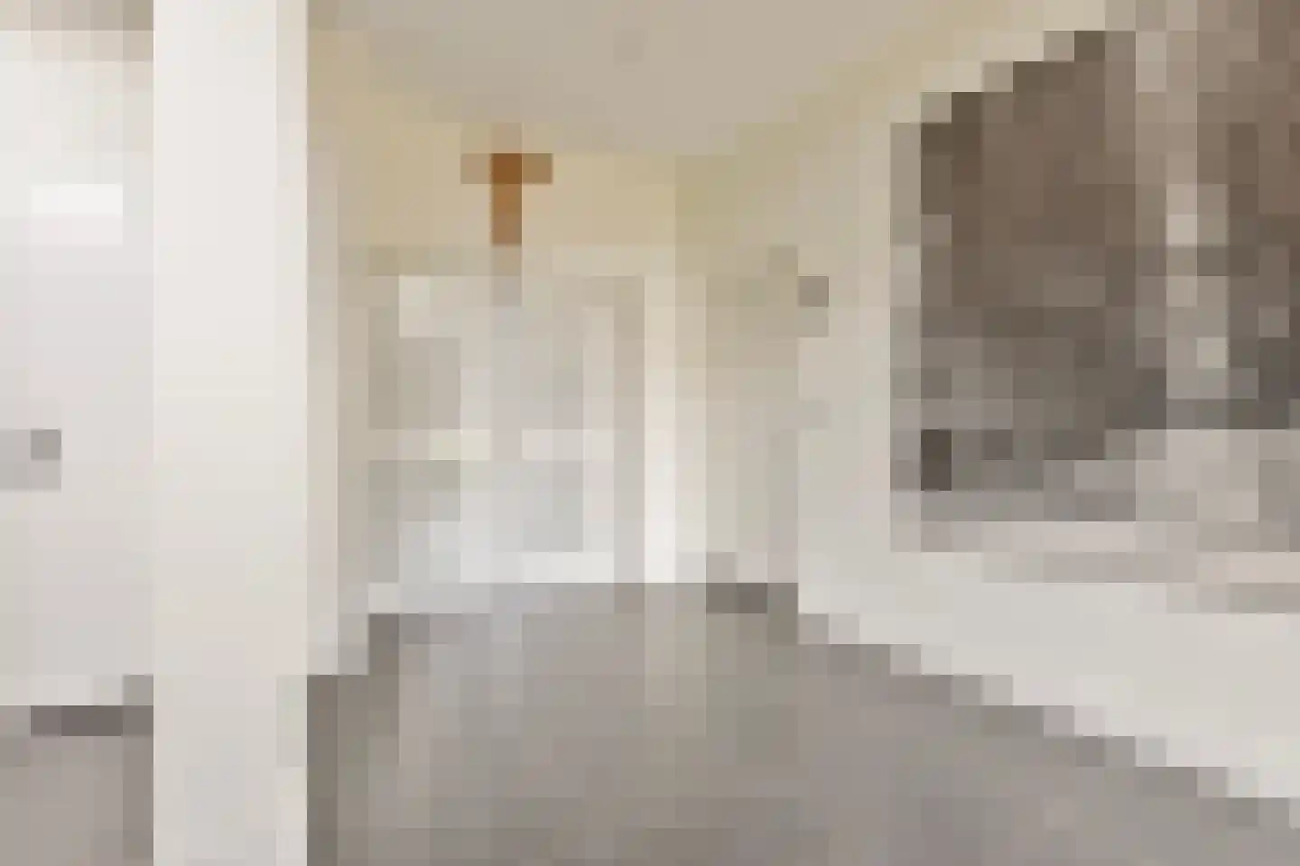 Binderseind 34 b Gemert thumbnail 13
