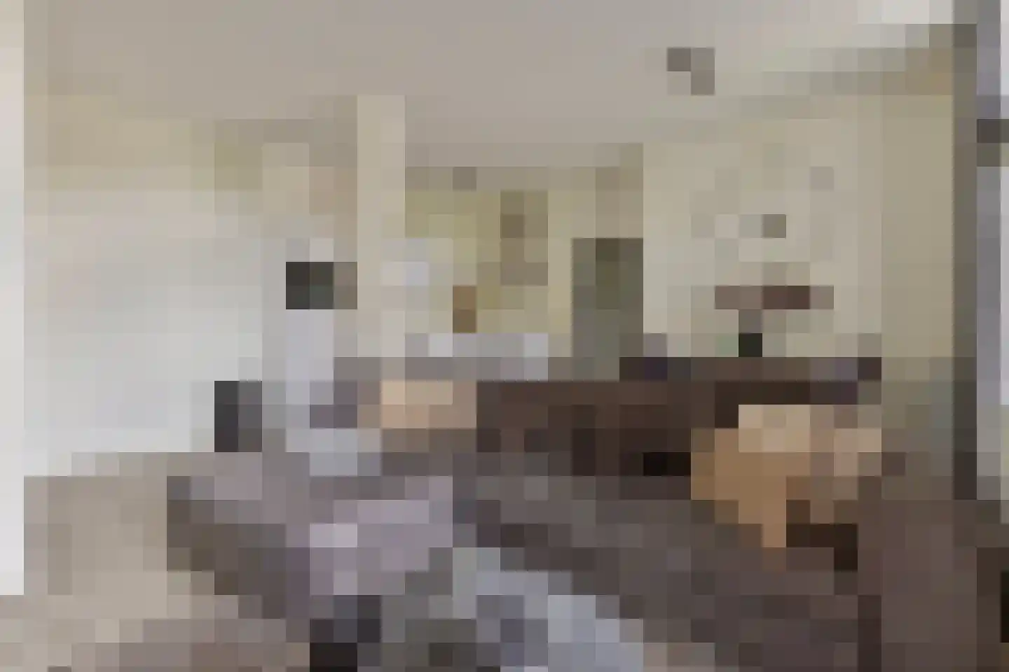 Binderseind 34 b Gemert thumbnail 18