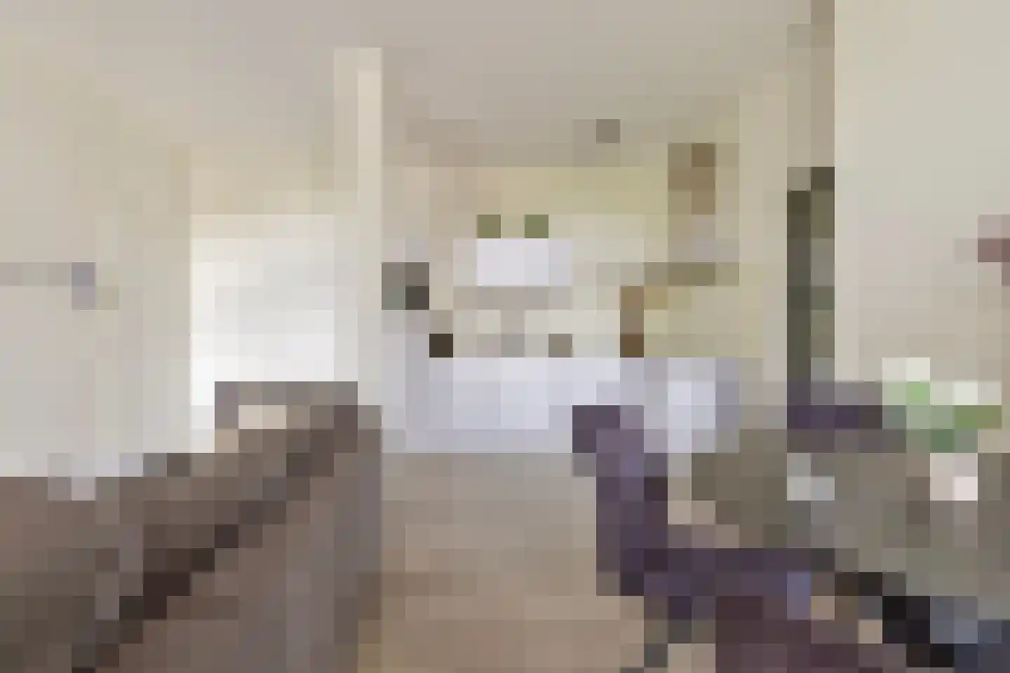 Binderseind 34 b Gemert thumbnail 20