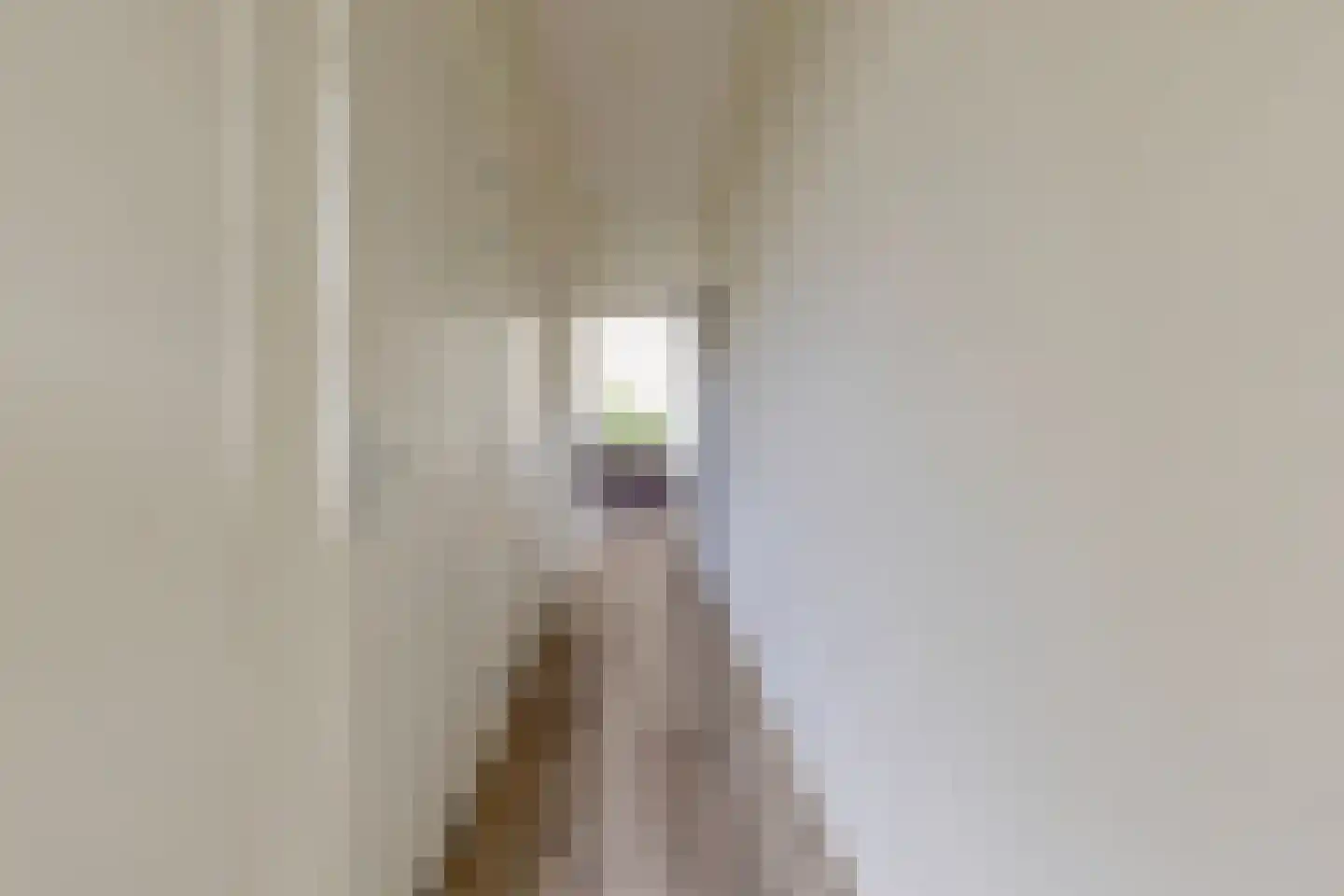 Binderseind 34 b Gemert thumbnail 26