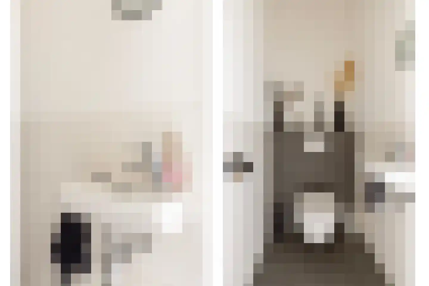 Binderseind 34 b Gemert thumbnail 27