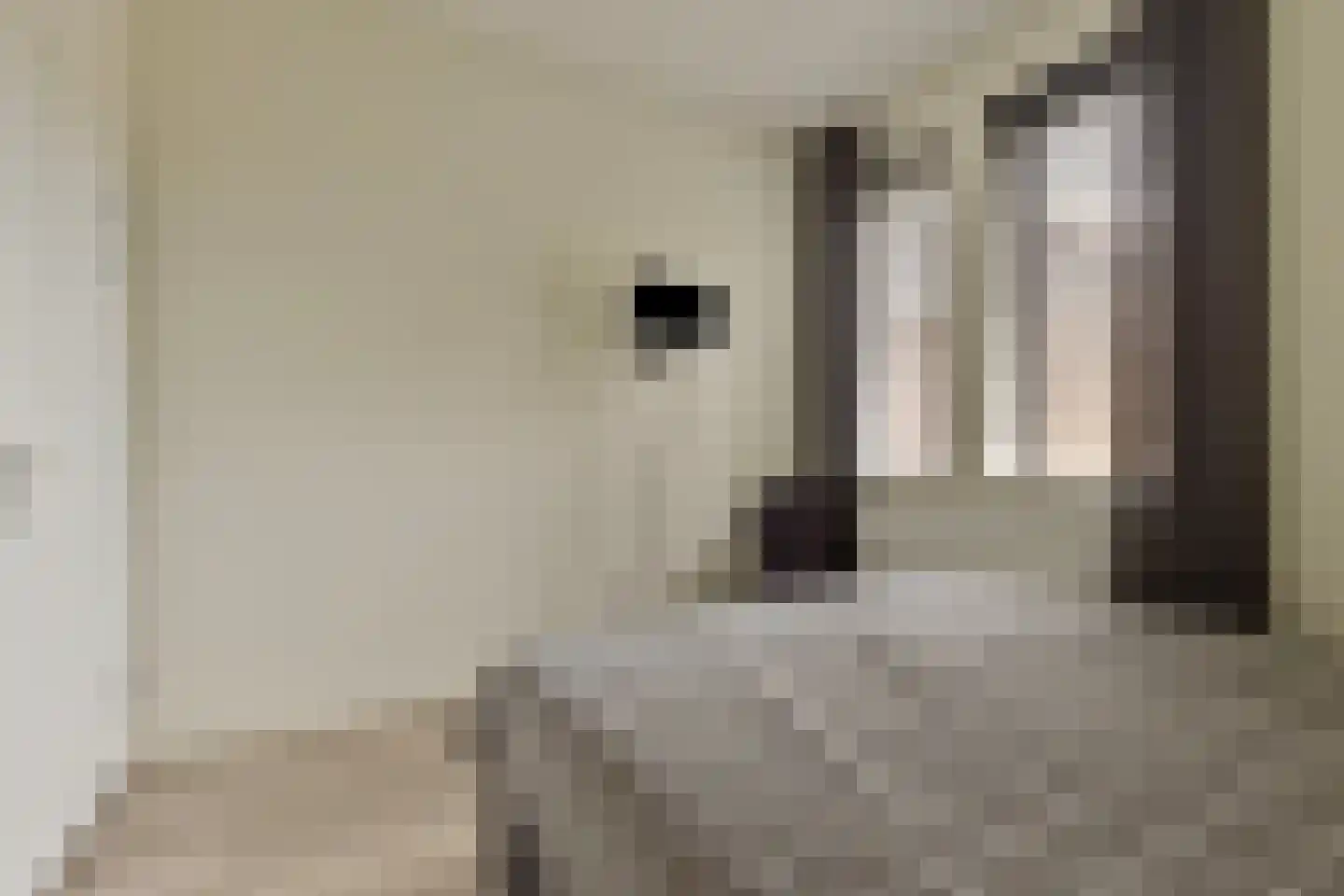 Binderseind 34 b Gemert thumbnail 29