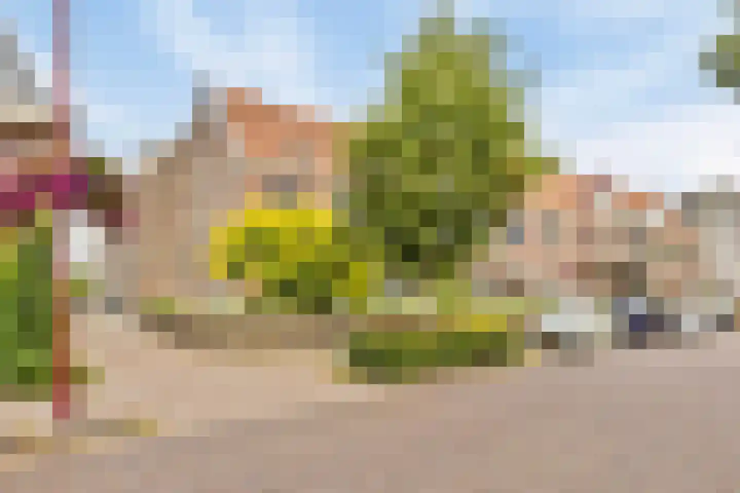 Binderseind 34 b Gemert thumbnail 7