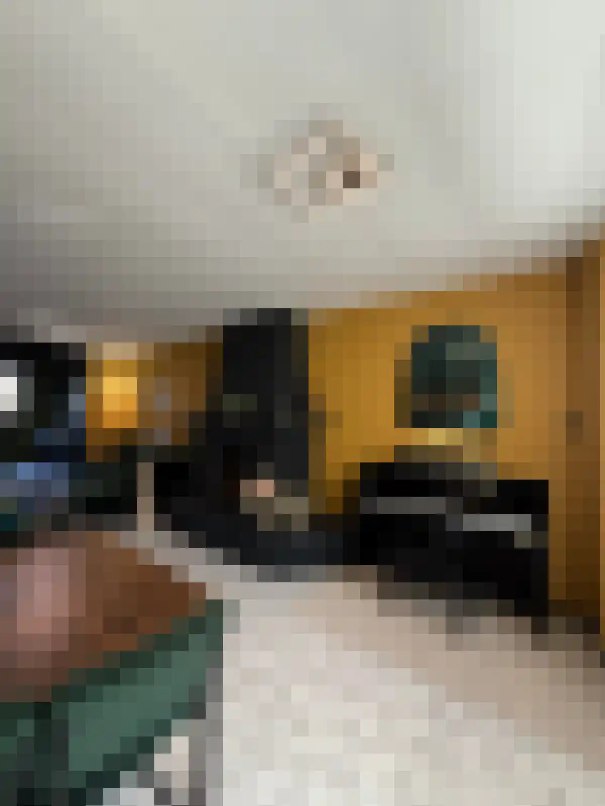 Bindersestraat 25 Helmond thumbnail 4