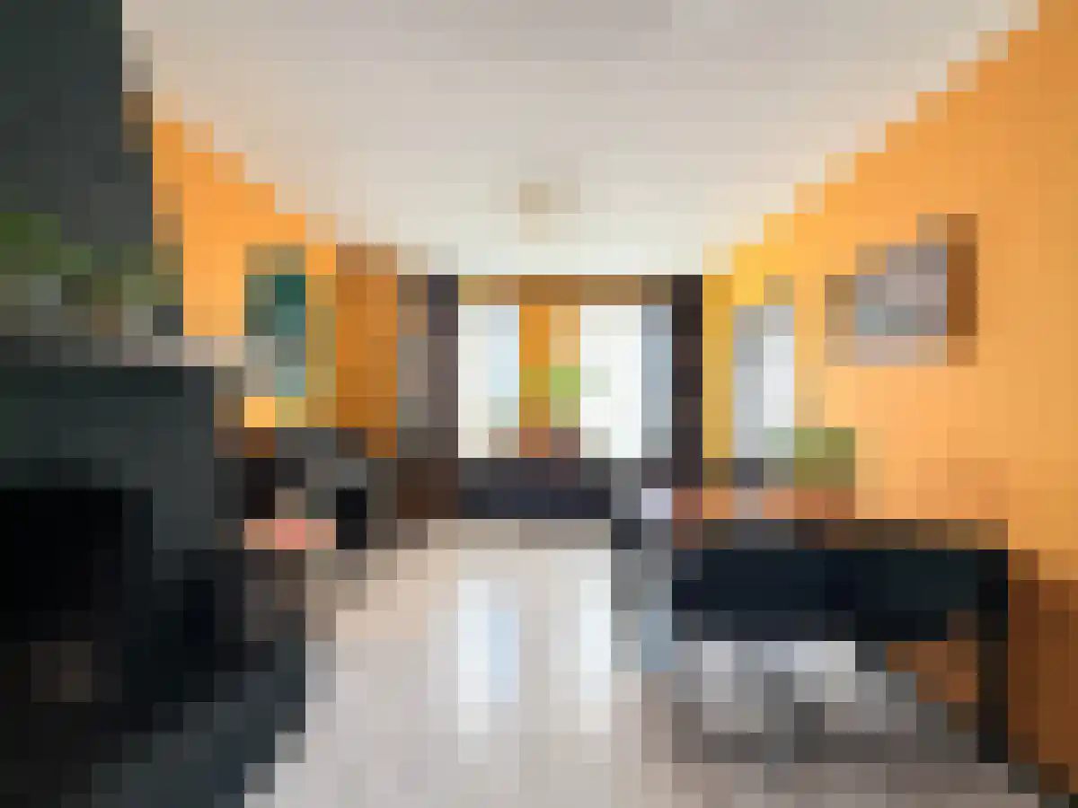 Bindersestraat 25 Helmond thumbnail 5