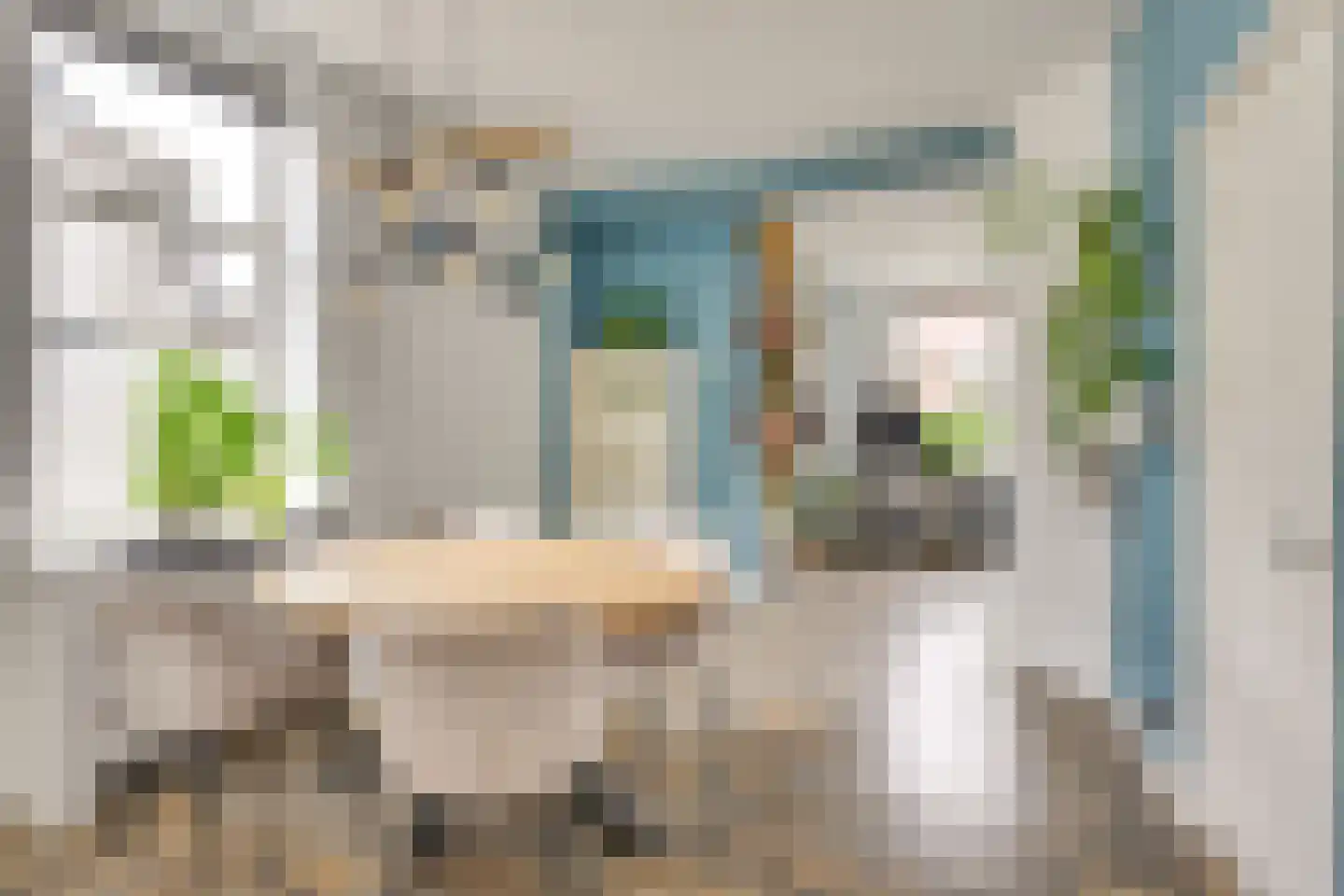 Bindersestraat 26 Helmond thumbnail 14