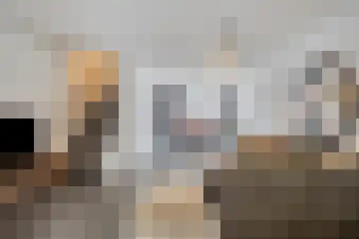 Bindersestraat 27 Helmond thumbnail 9