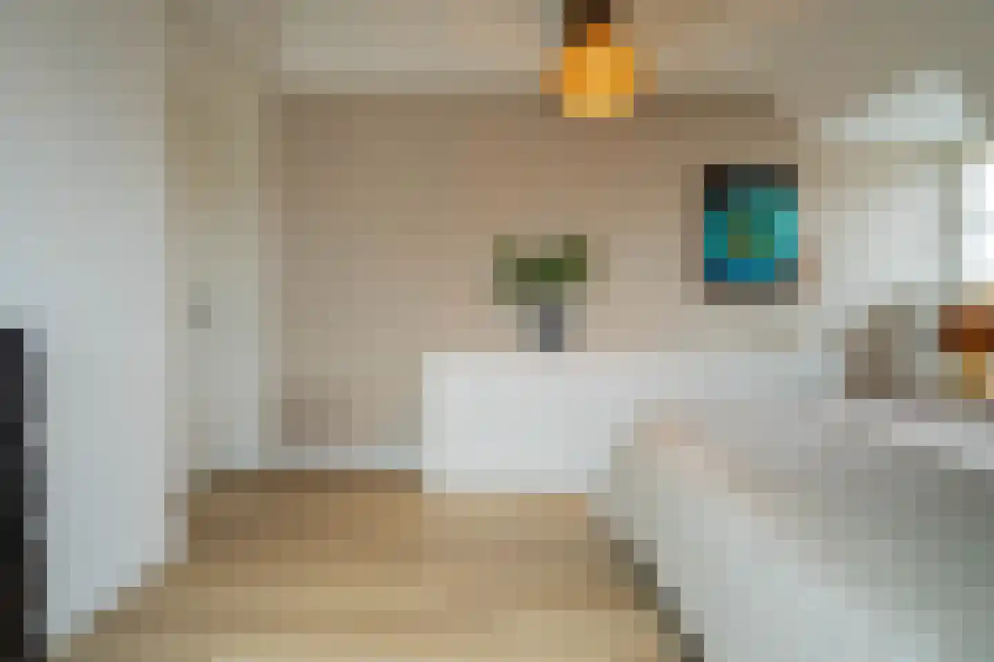 Bindersestraat 4 C Helmond thumbnail 34