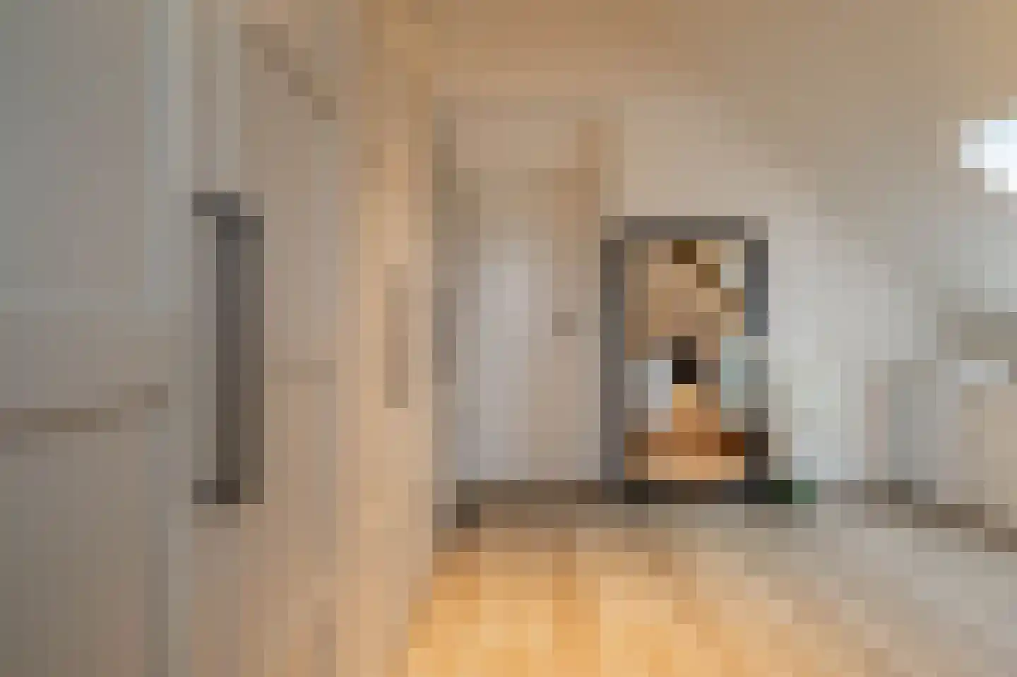 Bindersestraat 4 C Helmond thumbnail 38