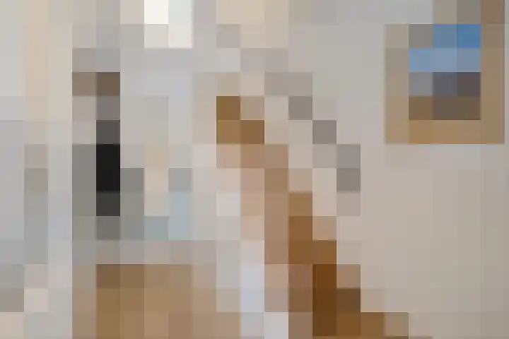 Binderstraat 46 Nieuw-Vennep thumbnail 10