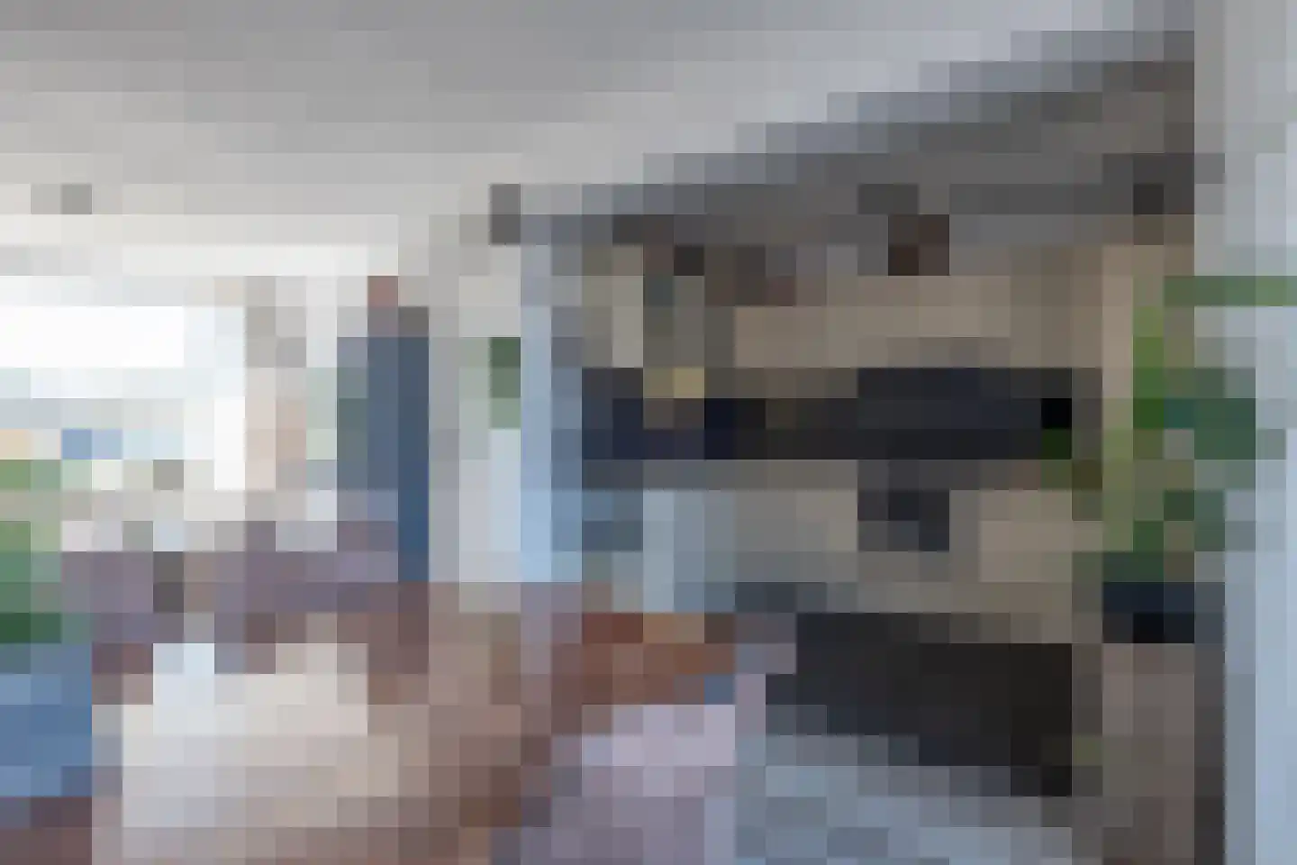 Bindert Japiksstrjitte 11 Drogeham thumbnail 10