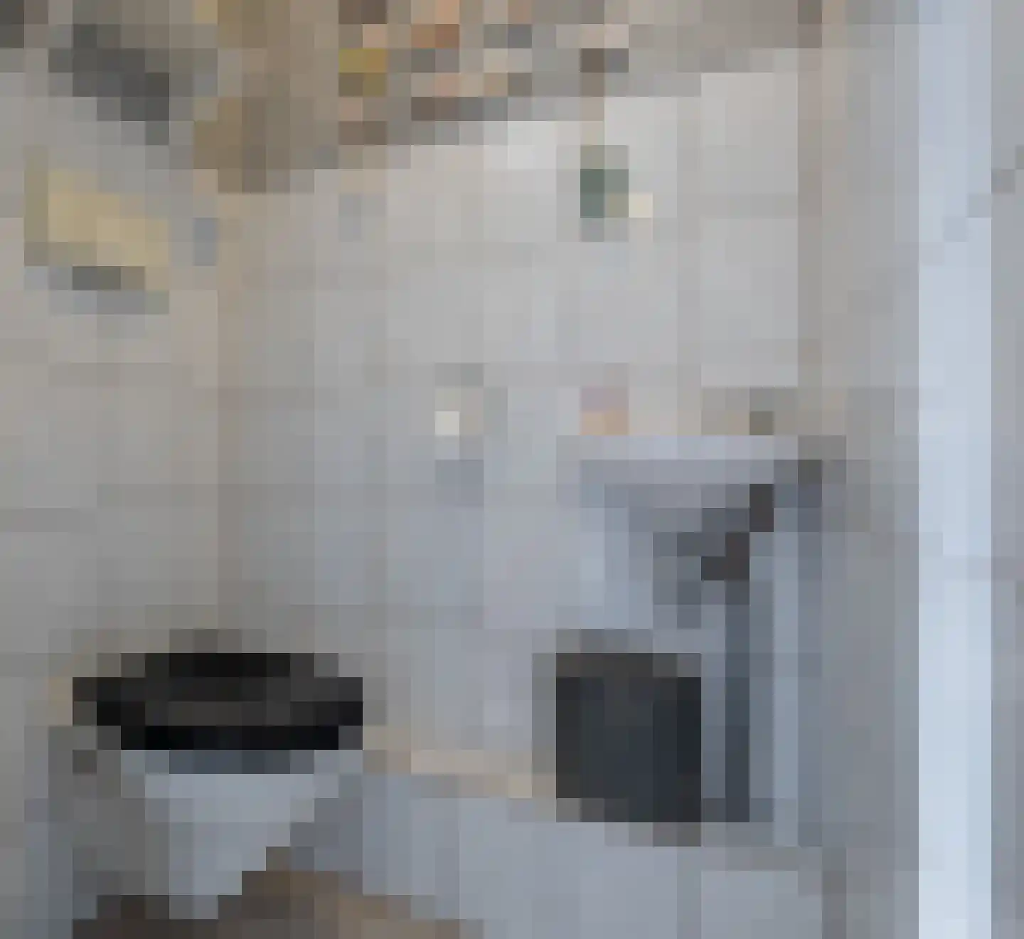Bindert Japiksstrjitte 11 Drogeham thumbnail 14