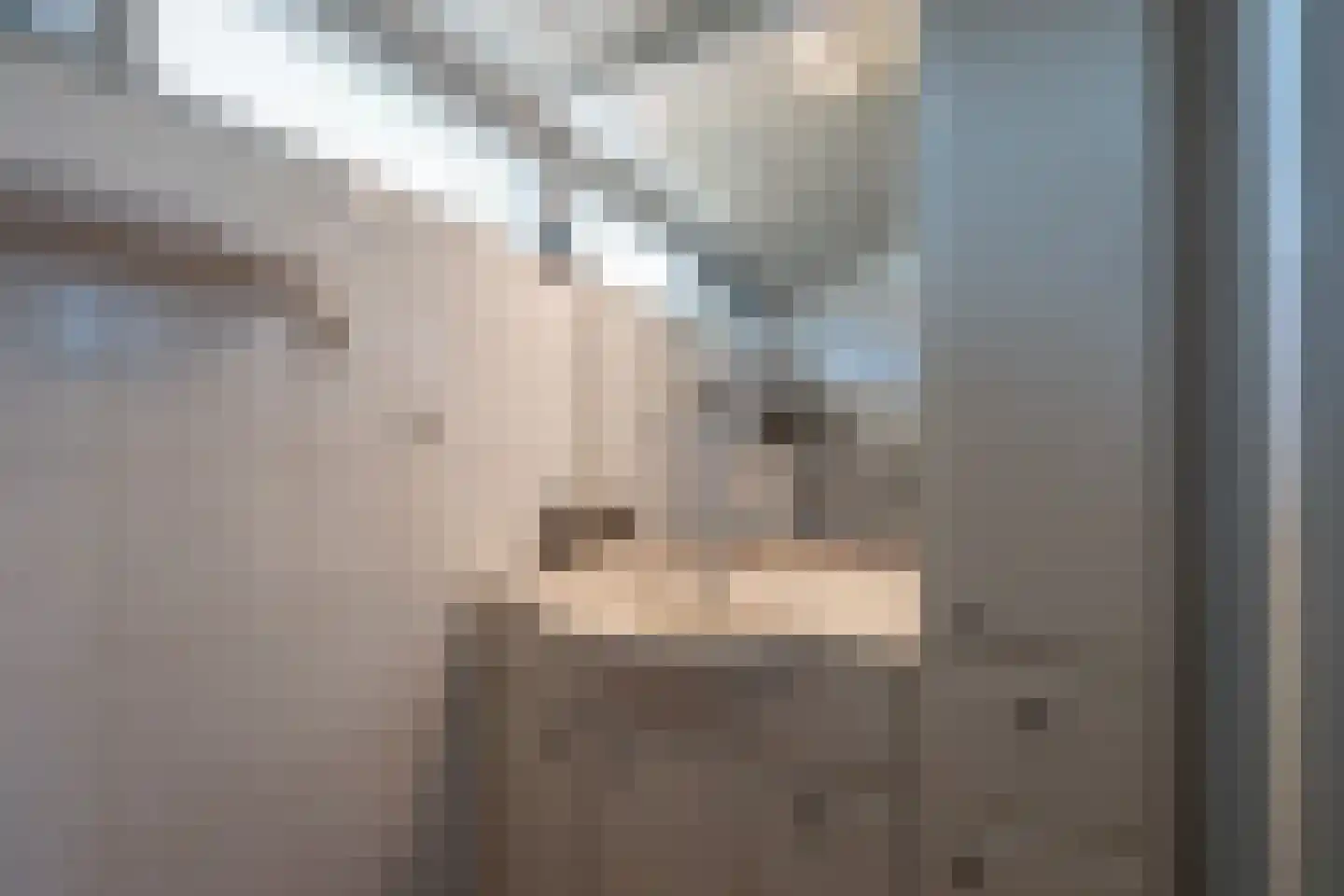 Bindert Japiksstrjitte 11 Drogeham thumbnail 23