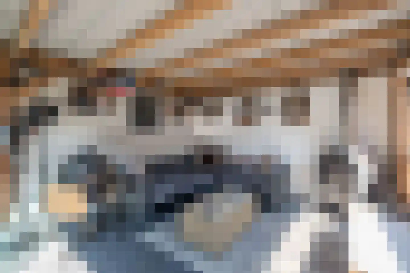 Bindert Japiksstrjitte 11 Drogeham thumbnail 27