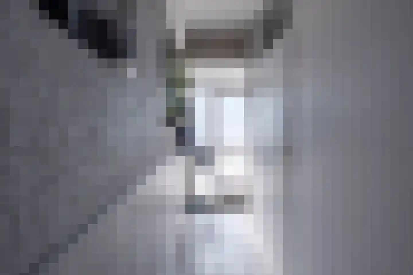 Bindert Japiksstrjitte 11 Drogeham thumbnail 7