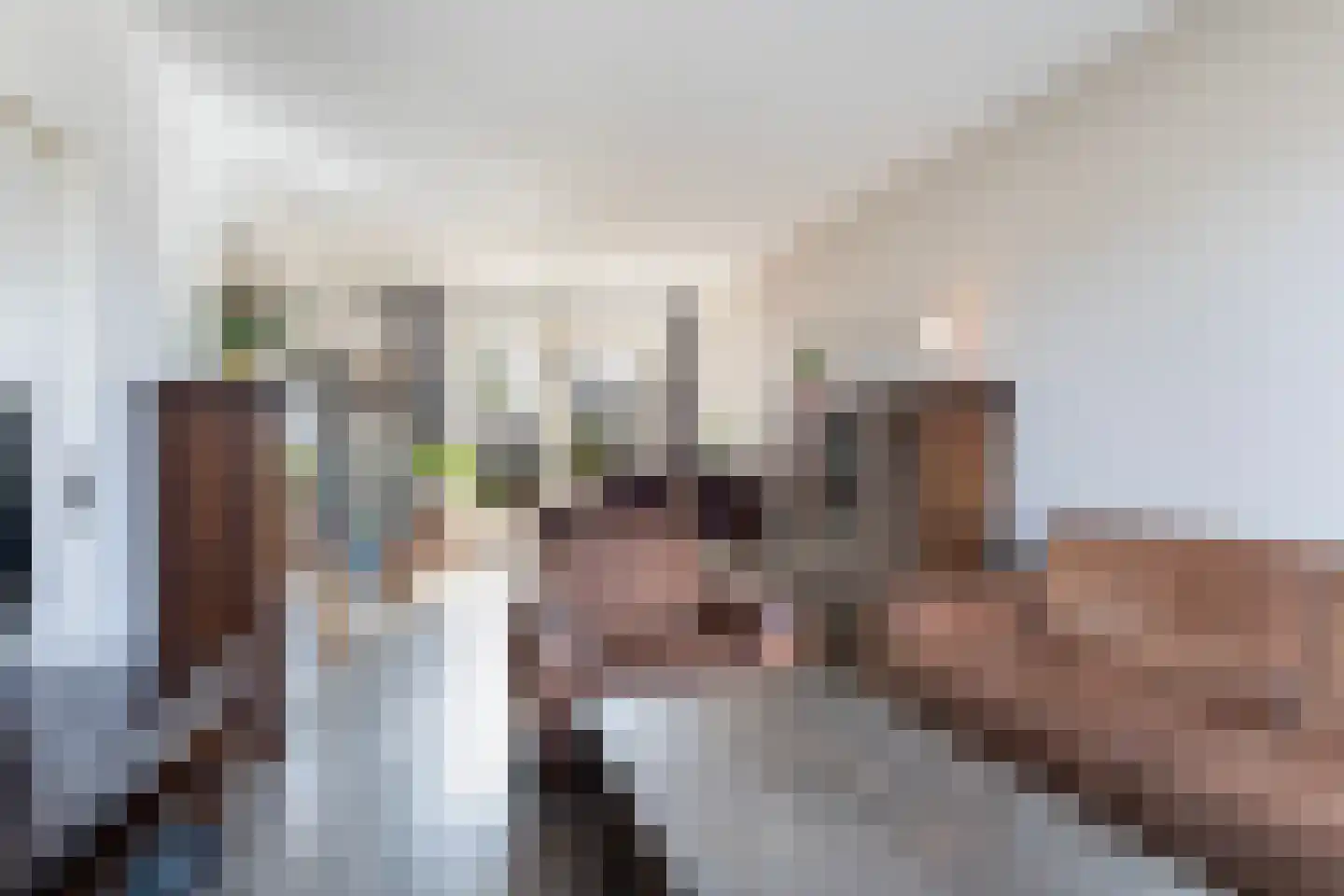 Bindert Japiksstrjitte 43 Drogeham thumbnail 12