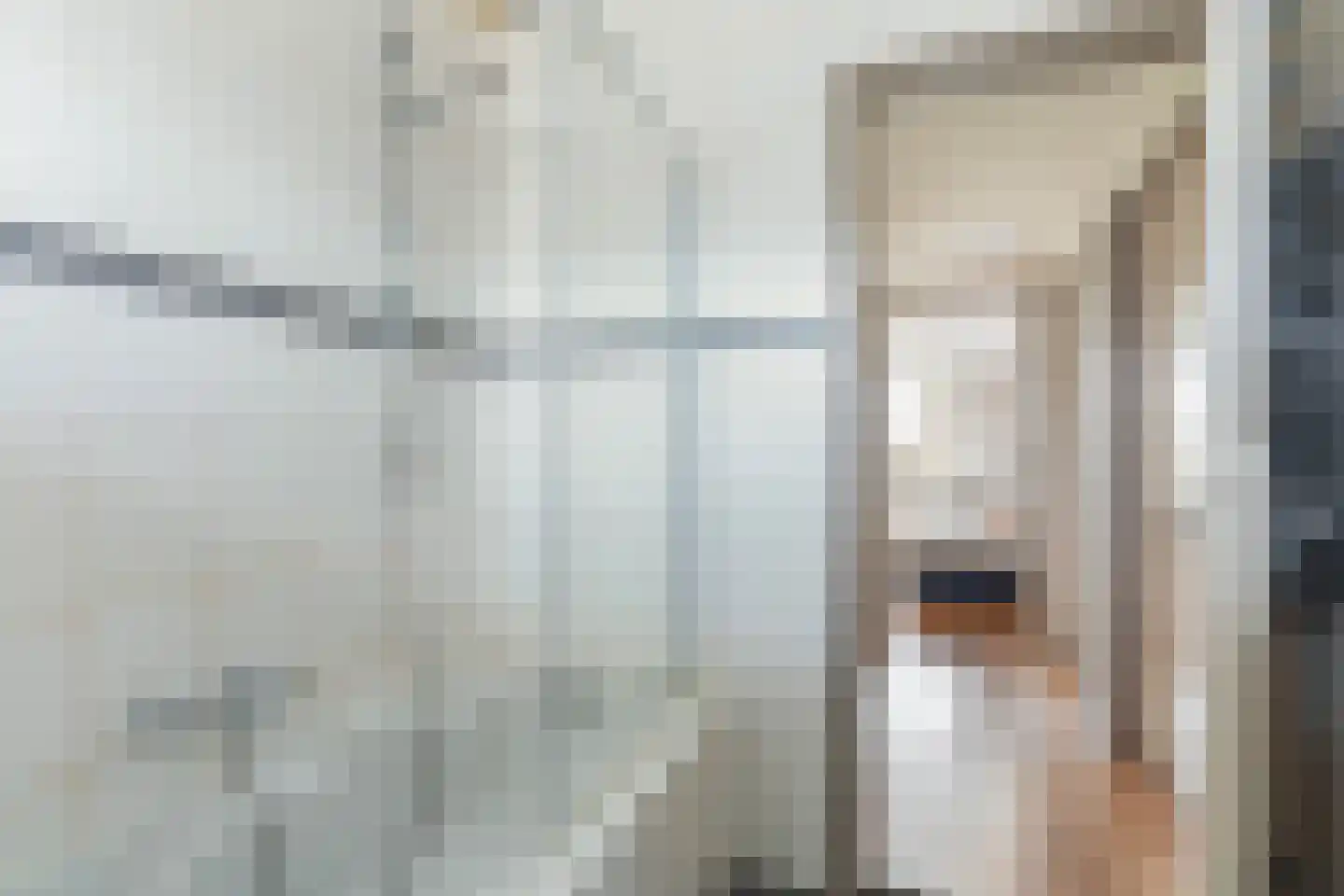 Bindert Japiksstrjitte 43 Drogeham thumbnail 33