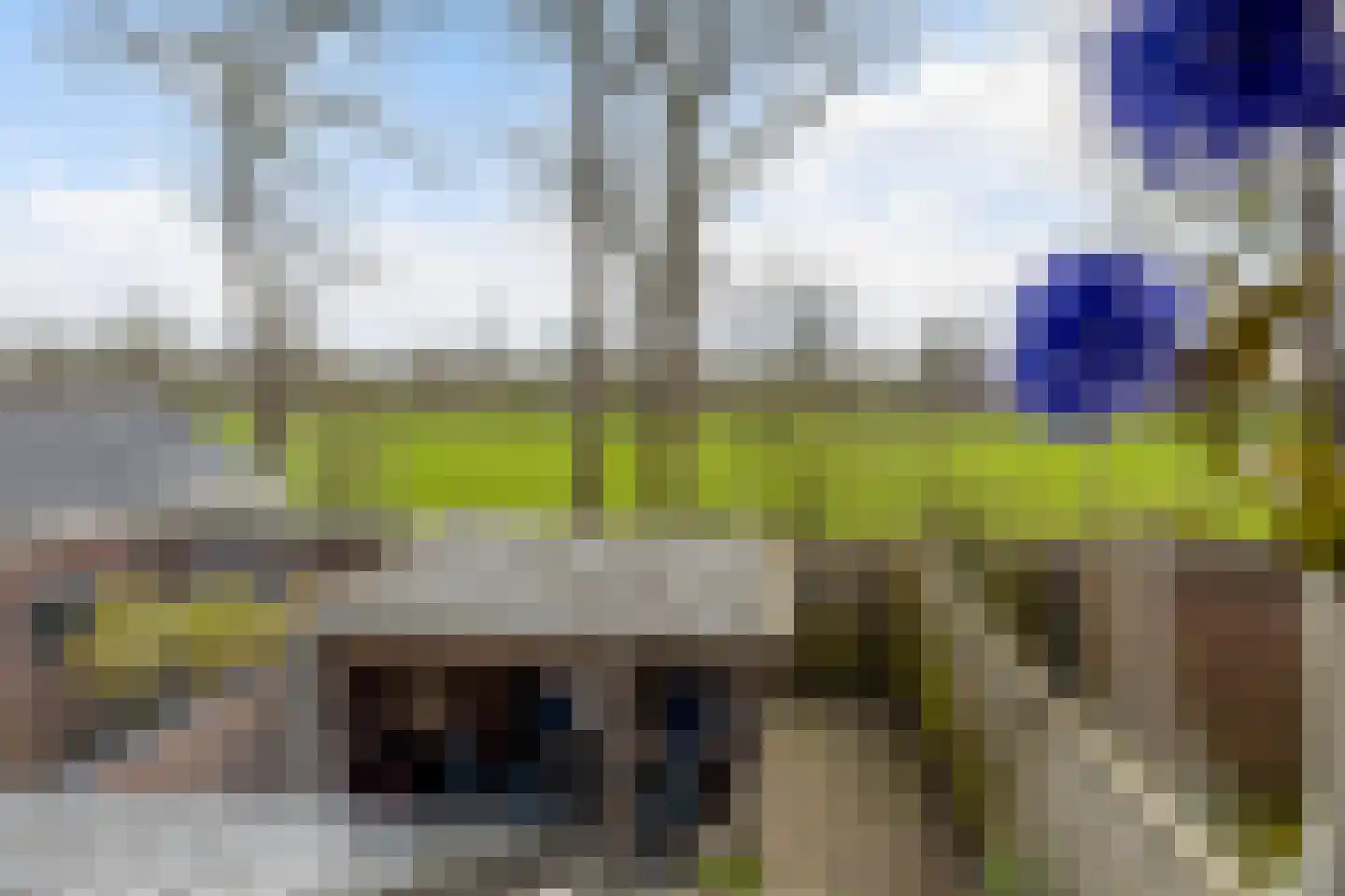 Bindert Japiksstrjitte 43 Drogeham thumbnail 36