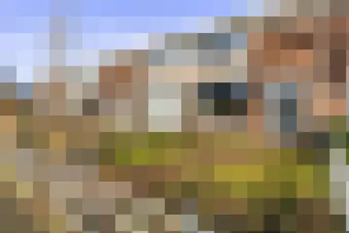 Bindert Japiksstrjitte 9 Drogeham