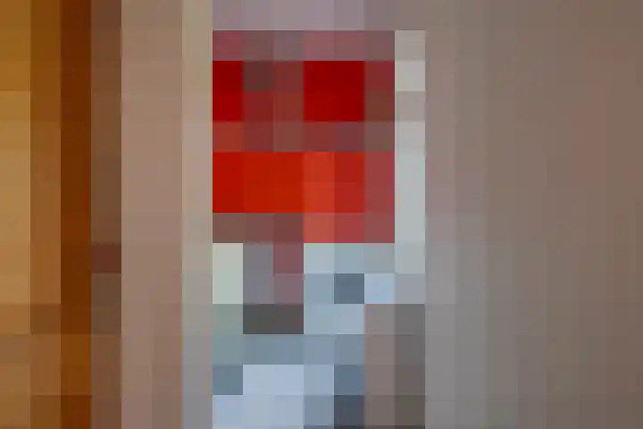Bindert Japiksstrjitte 9 Drogeham thumbnail 12