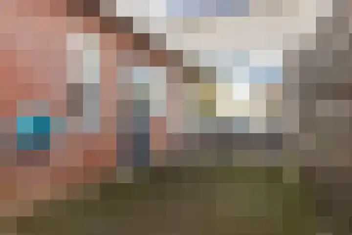 Bindert Japiksstrjitte 9 Drogeham thumbnail 16