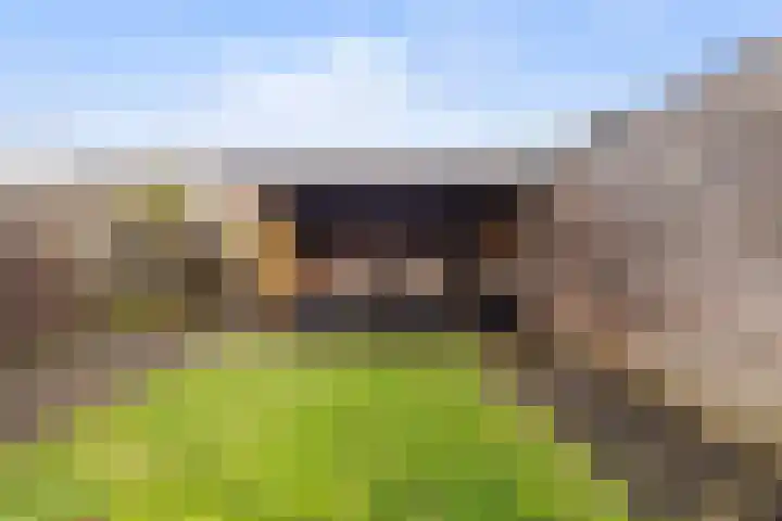 Bindert Japiksstrjitte 9 Drogeham thumbnail 18
