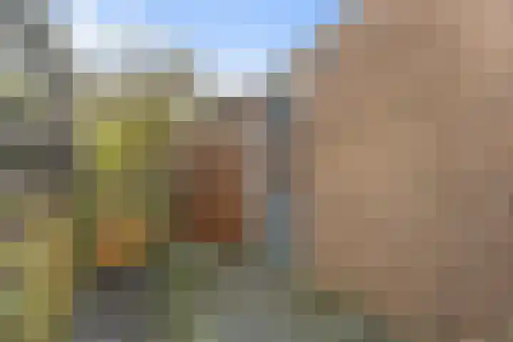 Bindert Japiksstrjitte 9 Drogeham thumbnail 20