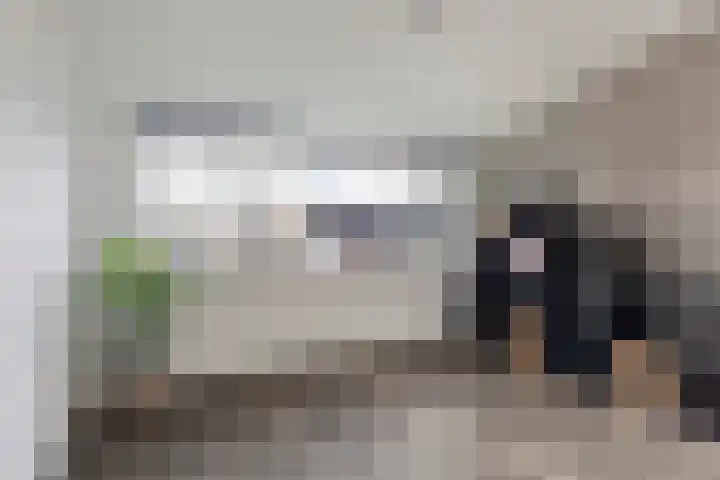 Bindert Japiksstrjitte 9 Drogeham thumbnail 24