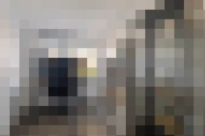 Bindert Japiksstrjitte 9 Drogeham thumbnail 28