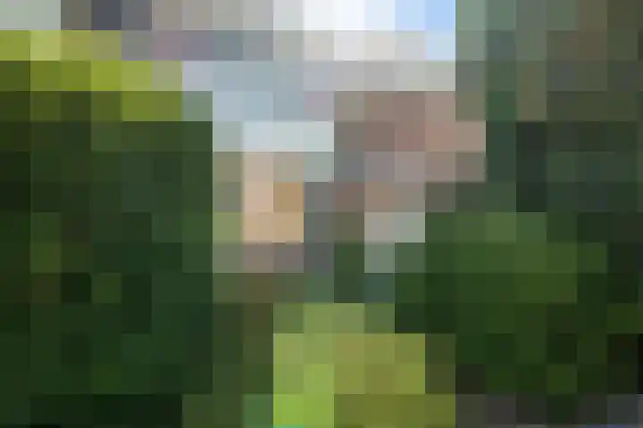 Bindert Japiksstrjitte 9 Drogeham thumbnail 29