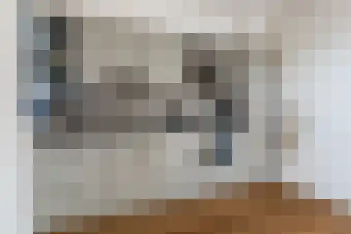 Bindert Japiksstrjitte 9 Drogeham foto 3